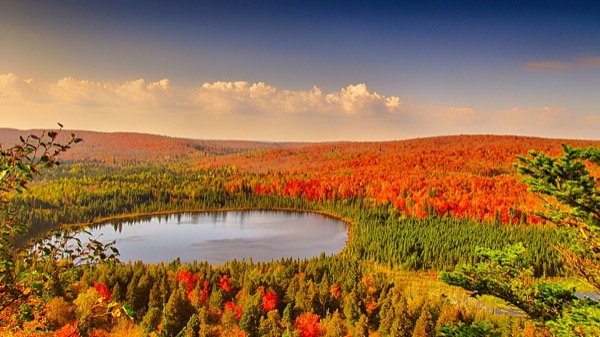 Oberg Lake seen from Oberg Mountain in peak fall color