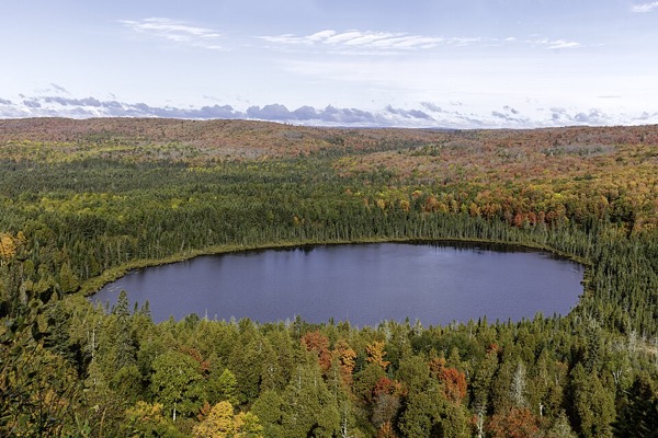 Autumn leaves around Oberg Lake