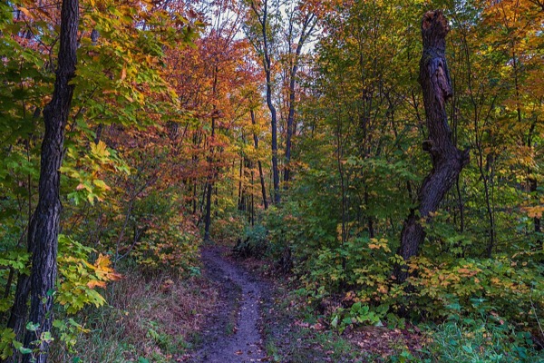 On the Oberg Mountain hiking loop