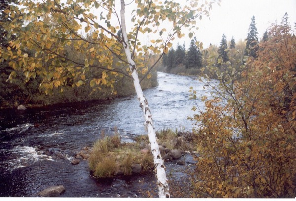 The Temperance River in autumn