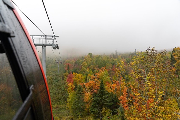 The forested view from the Lutsen gondola